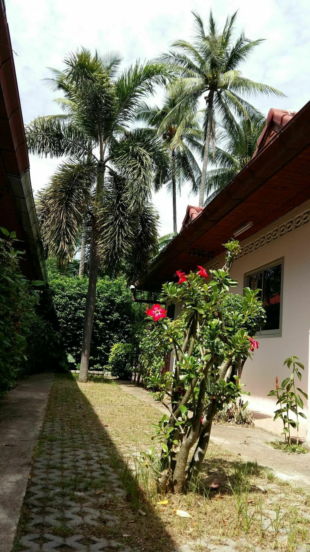 Saver Guesthouse Csaveng-part Kültér fotó
